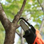 Верижна акумулаторна кастрачка LS C13 YARDFORCE