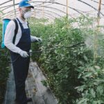 Огъващи се удължения за пръскачки за домати