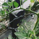 Двойна дюза гъвкава за пръскачка Mat