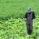 Четворка за пръскачка Матаби