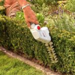 Акумулаторна ножица за трева и храсторез IKRA IGBS