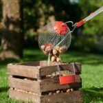 Кошничка за черупчести плодове FC-MS - малка