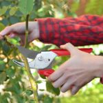 Ножица градинска RR-EN