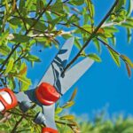 Ножица за жив плет HS-1000Т – телескопична