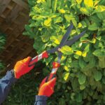 Ножица за жив плет HS-WW