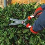 Ножица за жив плет HS-WW