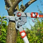 Ножица за клони Power Cut RR 650