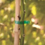 Професионален апарат за връзване MAX HT-R1