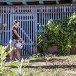 Листосъбирач електрически IKRA IEBV 3200 3в1