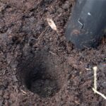 Садилка за луковици HY58317