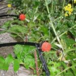 Капкообразувател регулируем дебит 0-70л.ч Azud