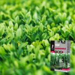 Тор за трева Анти-мъх ефект Лактофол 1кг. 35м2