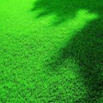 Тор за трева с дълготрайно действие LD-A 300 4.8 кг 300м2 - Wolf Garten