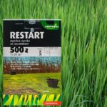 Тревна смеска Restart от Лактофол 0.5кг за 15-20м2