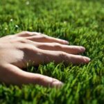 Тревна смеска интензивно натоварване SJ 500 Profi