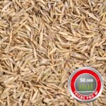 Тревна смеска спорт SG 100 2кг 100м2 Wolf Garten