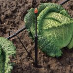 Колче за микро разпръсквачи дюзи 2бр. Claber