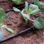 Тръба с капкообразуватели 4-6мм. 1.2л.ч 15м Claber