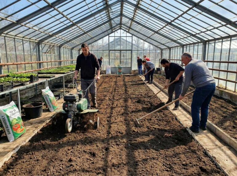 Подготовка на почвата за пролетните парникови насаждения - R