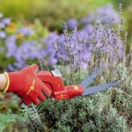 Ножица за трева GS 2P Comfort Hand Grass Shears 180°